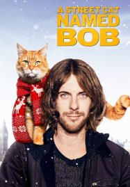 ดูหนังออนไลน์ A Street Cat Named Bob (2016) บ๊อบ แมว เพื่อน คน